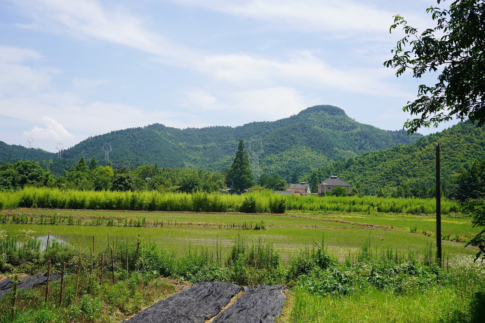 Ox-head Hill in Anji County, Zhejiang